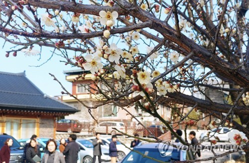 봄기운 물씬 나는 동해안