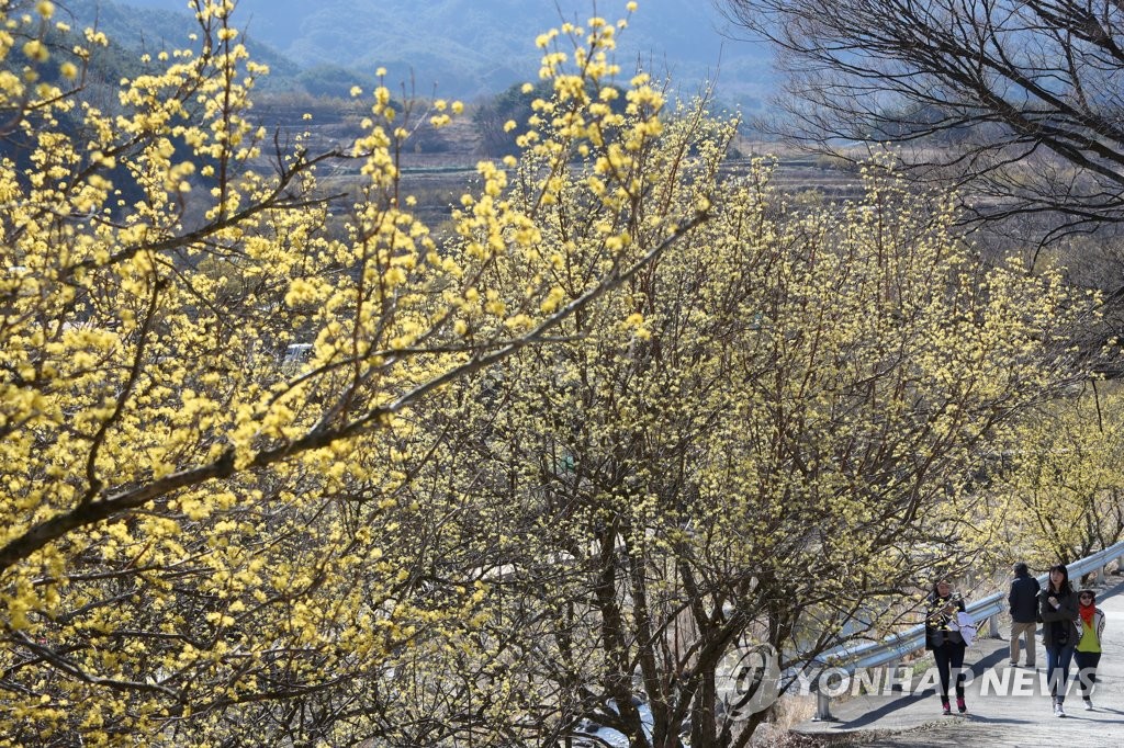 화사한 봄