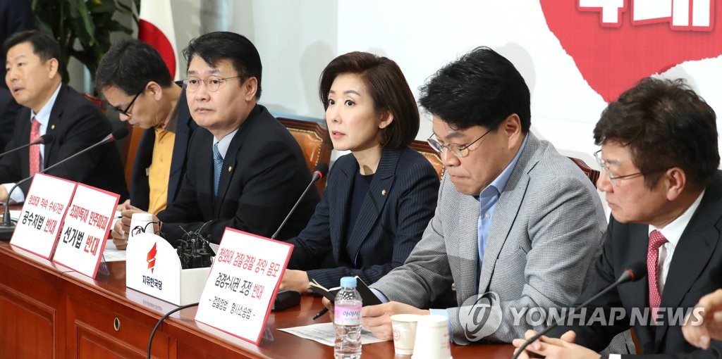 나경원 '선거법·공수처법 날치기 저지'