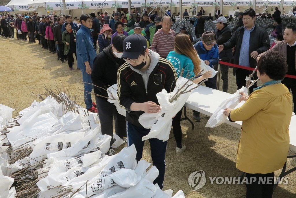 "공짜 묘목 받아가세요"