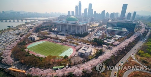 2019 여의도 봄꽃 축제