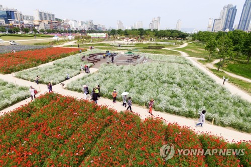 태화강 봄꽃 대향연