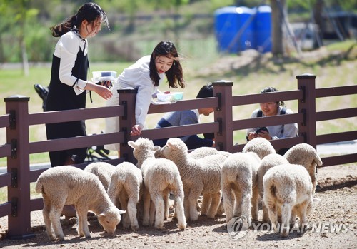영월 펫 힐링 달빛동물원