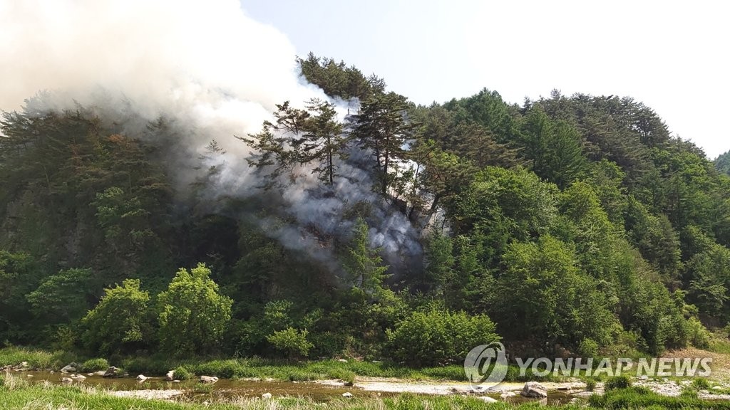 정선 화암면 야산서 불…치솟는 연기