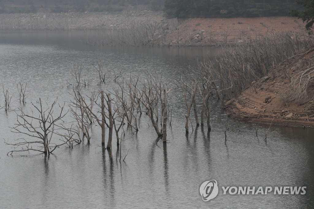 '장마 실종' 목 마른 호수