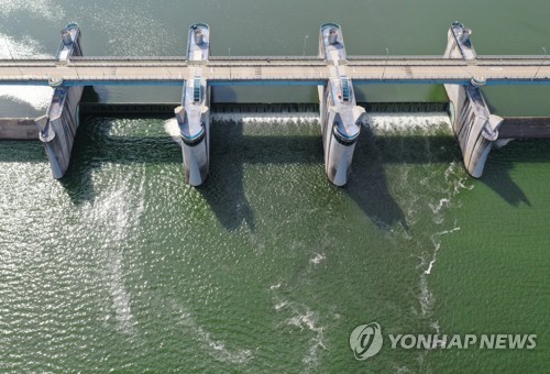 낙동강 창녕함안보 초록빛