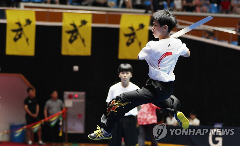 Int'l wushu competition in Jeju Int'l wushu competition in Jeju