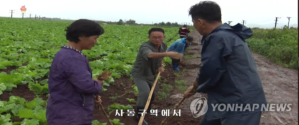 북한, 태풍 '링링'으로 인한 농작물 피해방지 총력
