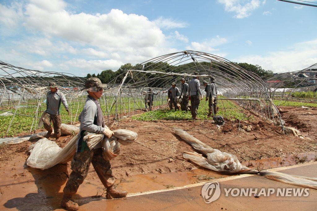 육군 9사단, 태풍 '링링' 피해 복구 대민지원