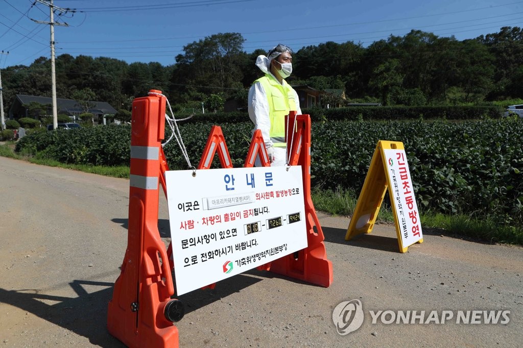 파주에 이어 연천에도 ASF 발생