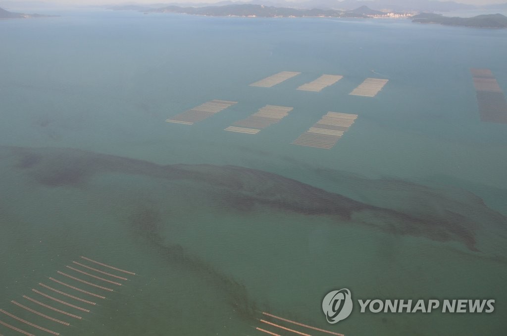 쪽빛바다 검붉은 적조띠