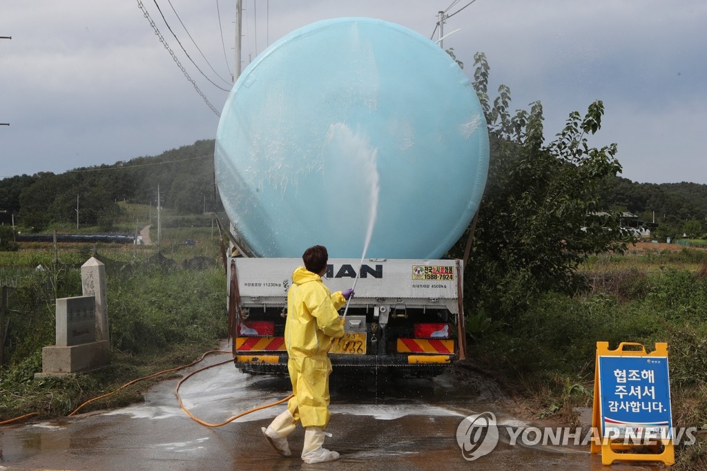 Anti-swine fever effort Anti-swine fever effort