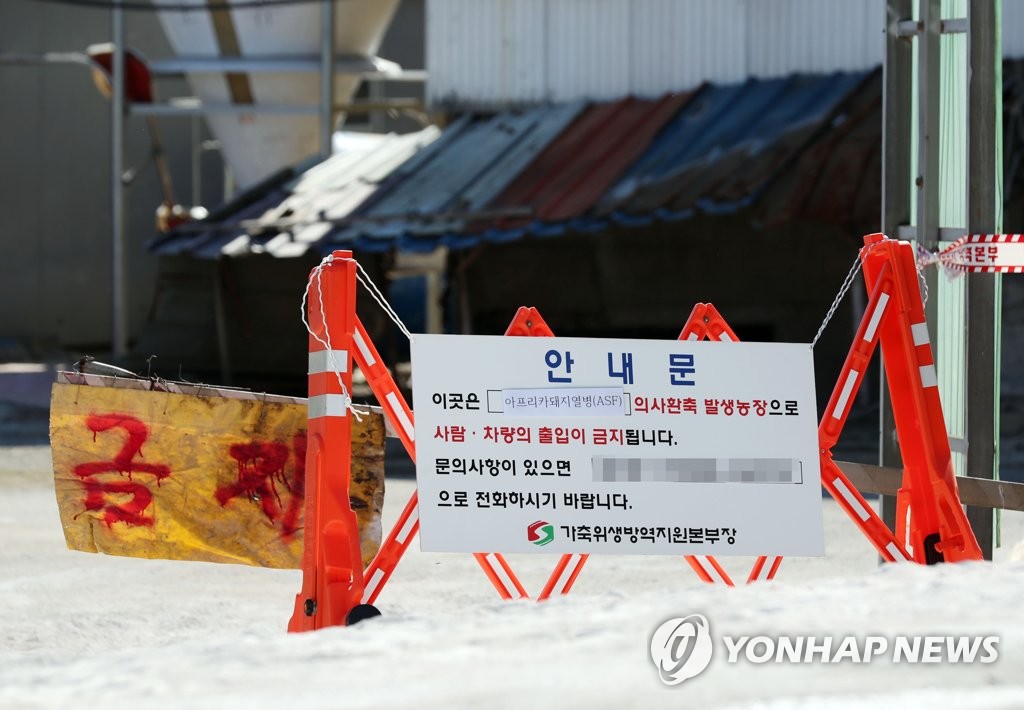 '돼지열병 의심 신고에 비상'