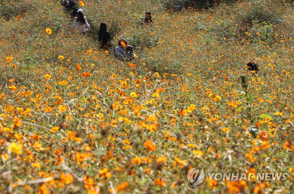 가을산책