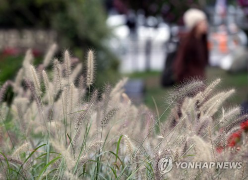 따뜻한 모자가 필요한 날씨