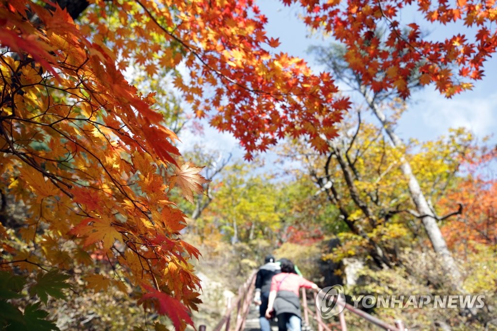 Otoño en Corea del Sur Otoño en Corea del Sur