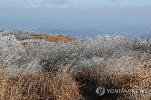 연합뉴스