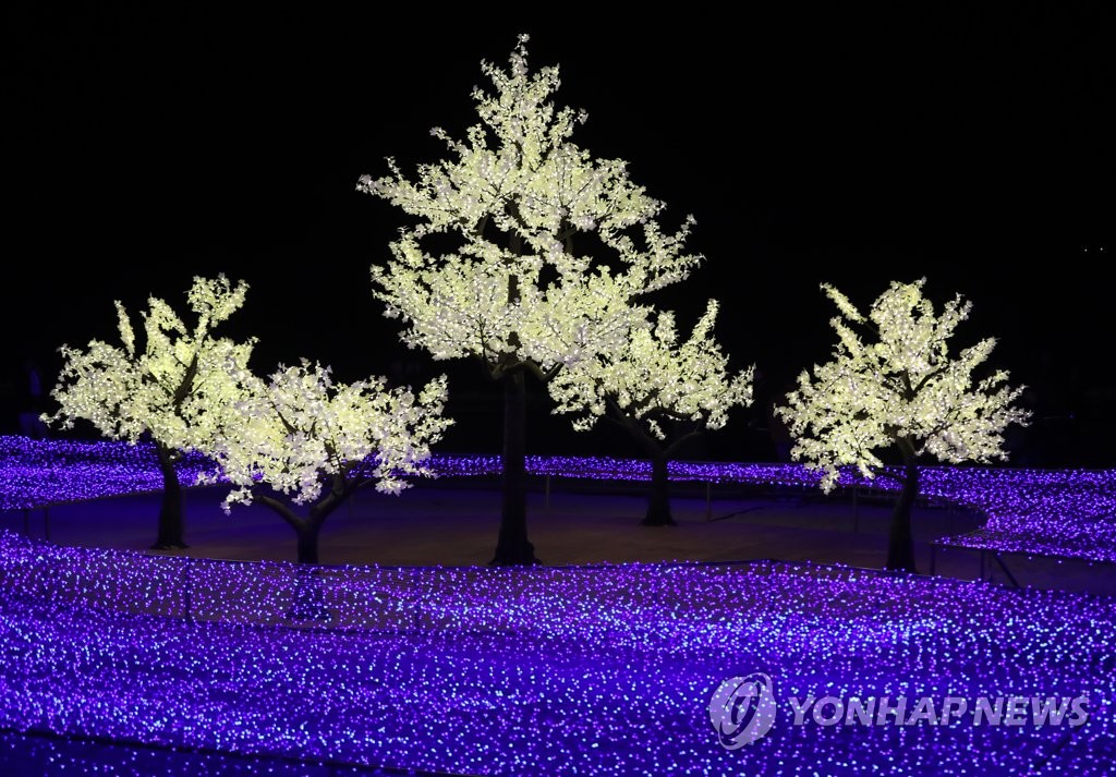 Festival de luces en Busan Festival de luces en Busan