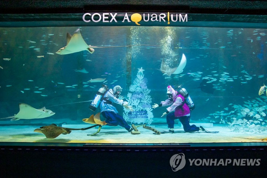 Aquarium's Lunar New Year event Aquarium's Lunar New Year event