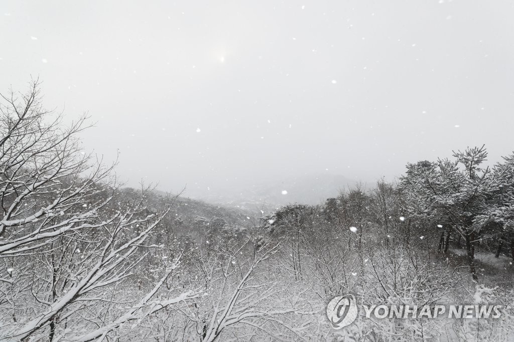 '눈으로 뒤덮인 북악산'