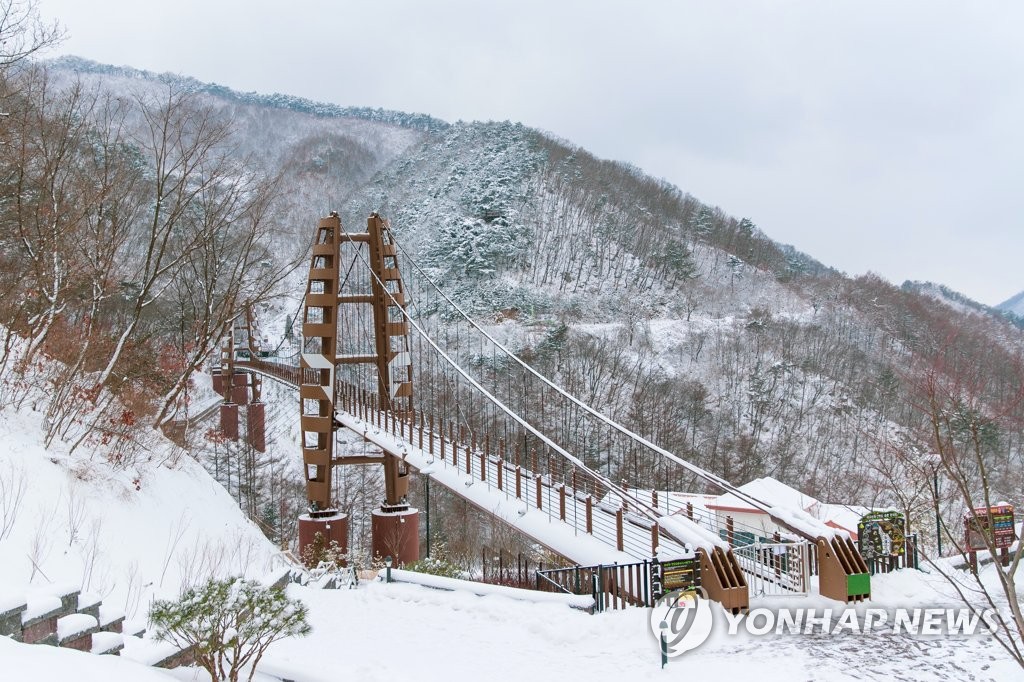 눈 쌓인 증평 좌구산 구름다리