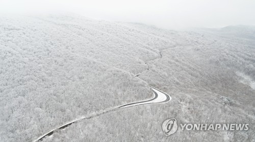 [줌in제주] 한라산 지나는 516·1100도로, 동서로 뻗은 번영·평화로