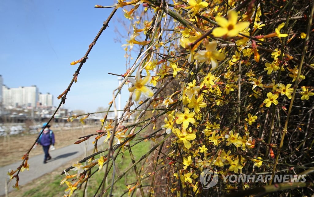 24절기 우수 맞이 산책