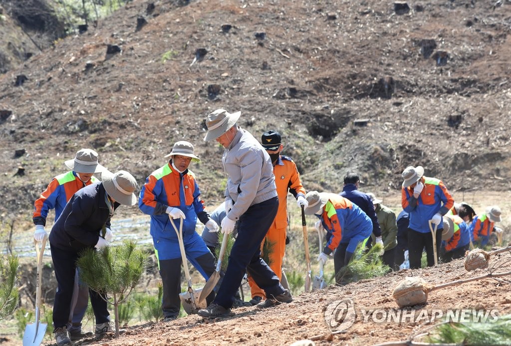 강릉산불 재조림지에 금강송 심는 문 대통령 내외