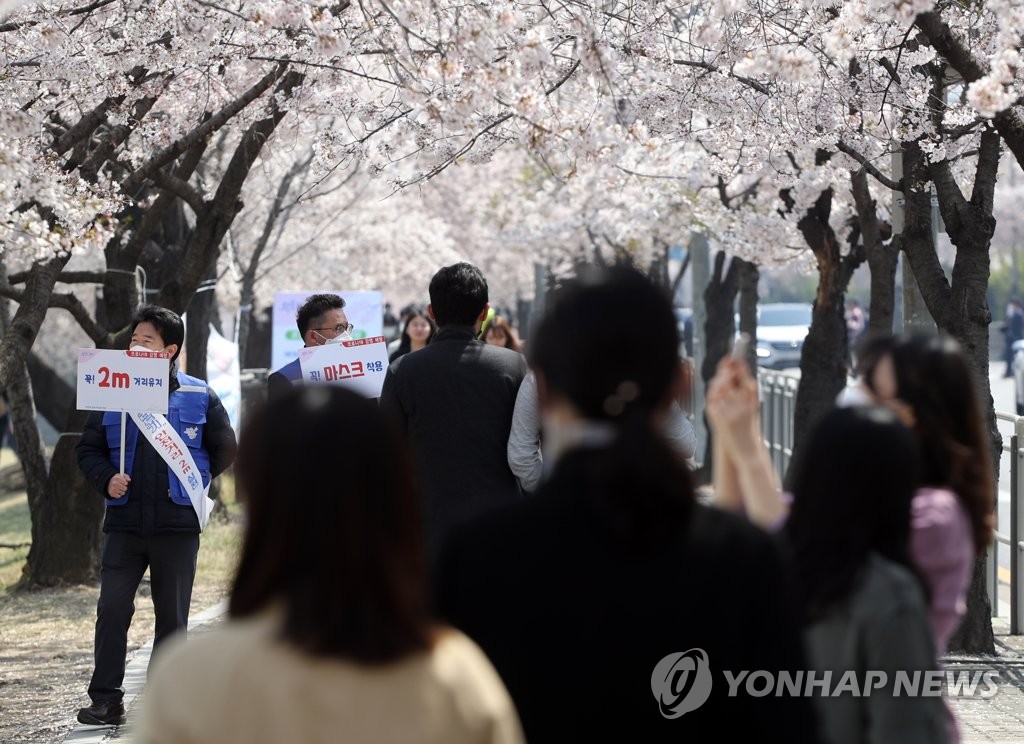 벚꽃길 거리두기