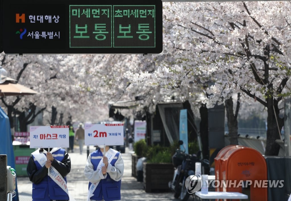 벚꽃길 2m는 보통…