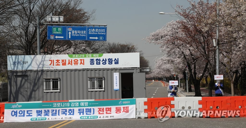삼엄한 벚꽃길