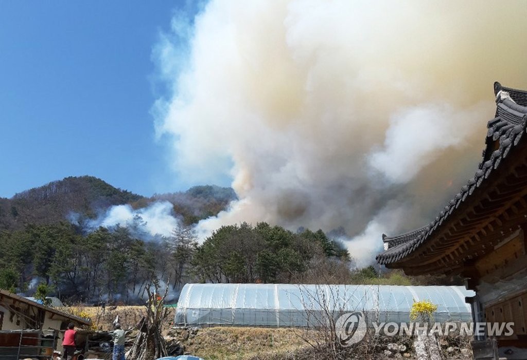 영월 주천면 야산서 불