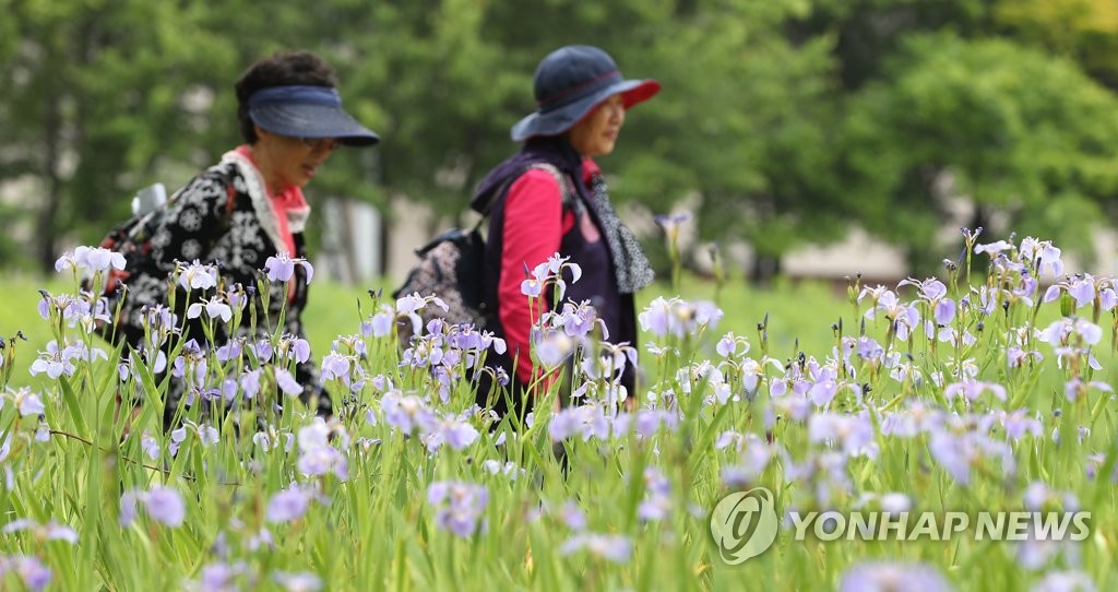 붓꽃 나들이