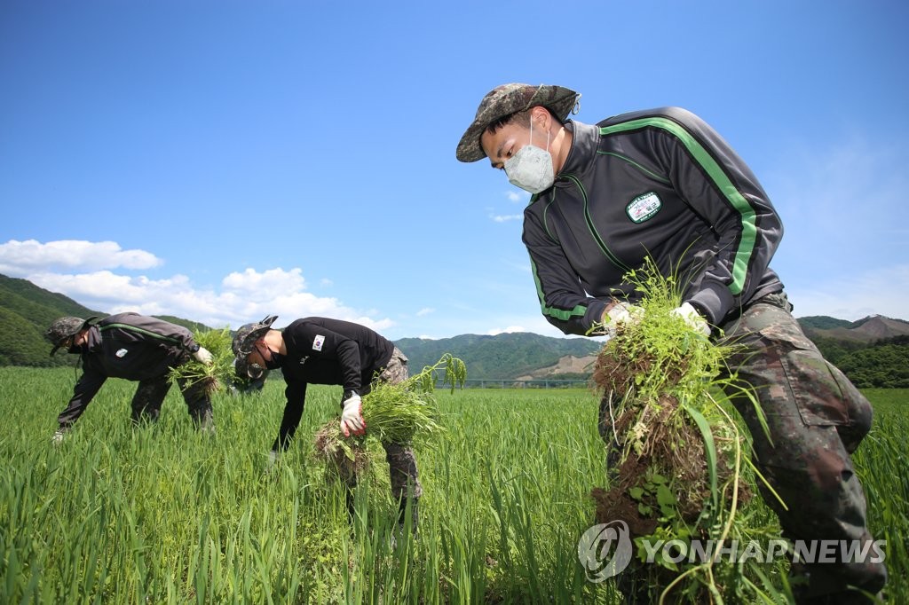 Soldiers help farmers amid coronavirus Soldiers help farmers amid coronavirus