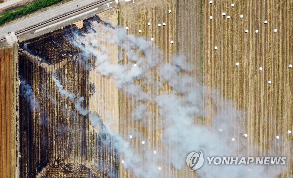 보리밭 태우는 농촌
