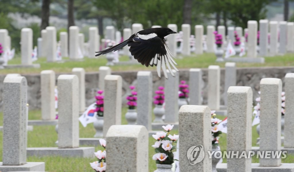 힘차게 날갯짓 하는 까치