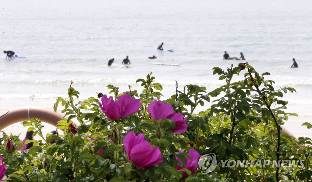 즐거운 서프보드 타기