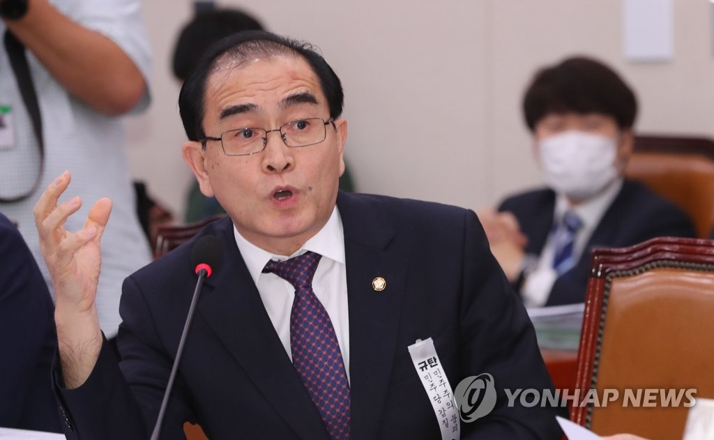 대북 전단 관련 질의하는 태영호 의원