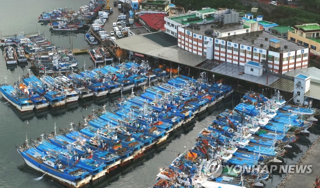 태풍 '장미' 피해 서귀포항에 정박한 어선들