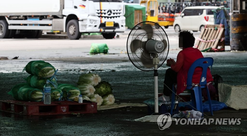 긴 장마에 채소류 가격 상승