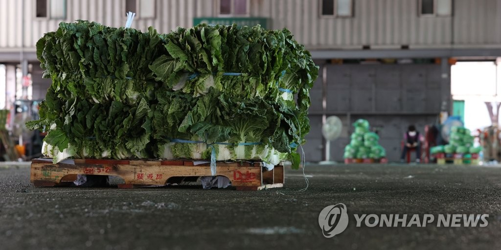 긴 장마에 가격 상승하는 채솟값