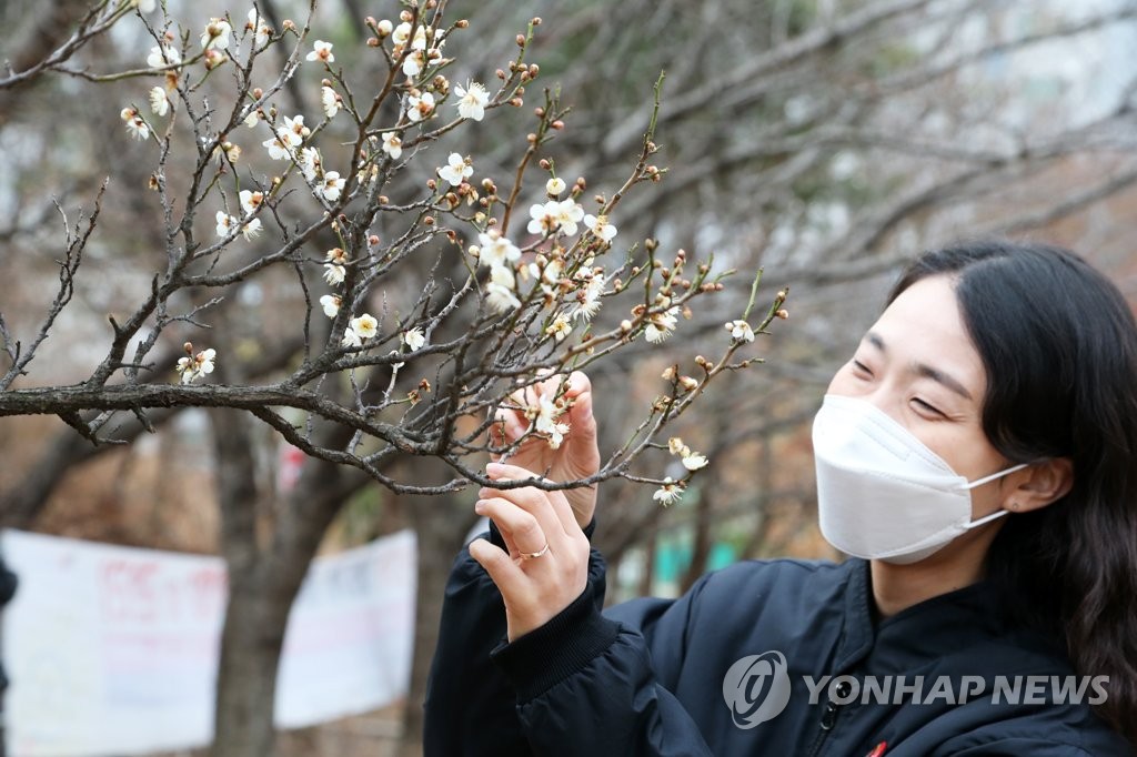 봄인 듯 포근한 날씨…서울 낮 최고 11도