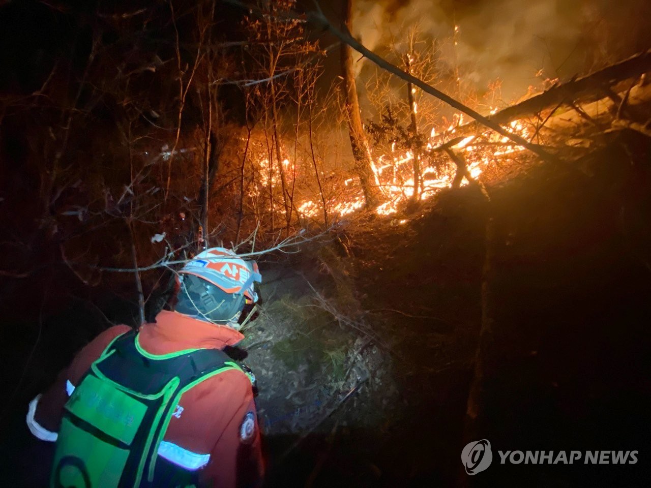 A firefighter conducts operations to extinguish a forest fire in Jeongseon, some 210 kilometers east of Seoul, on Feb. 20, 2021, in this photo provided by the Korea Forest Service. (PHOTO NOT FOR SALE) (Yonhap)