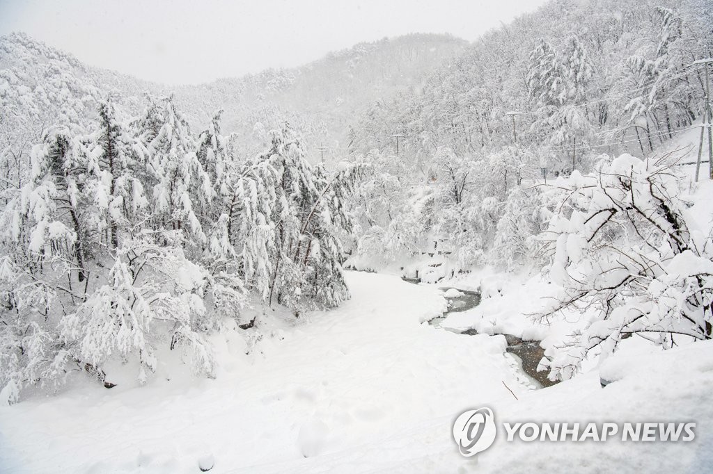 진부령 계곡 설경