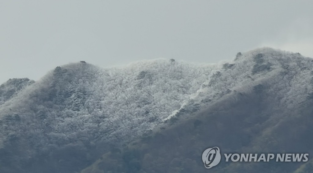 강원 춘천 배후령에 봄 눈