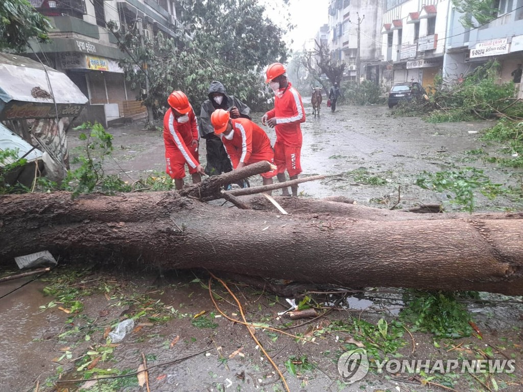 사이클론에 쓰러진 나무 치우는 인도 국가재난대응군