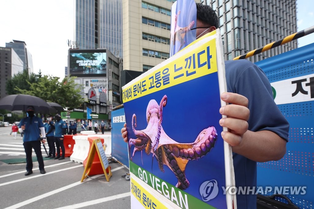 1인 시위하는 한국채식연합 대표
