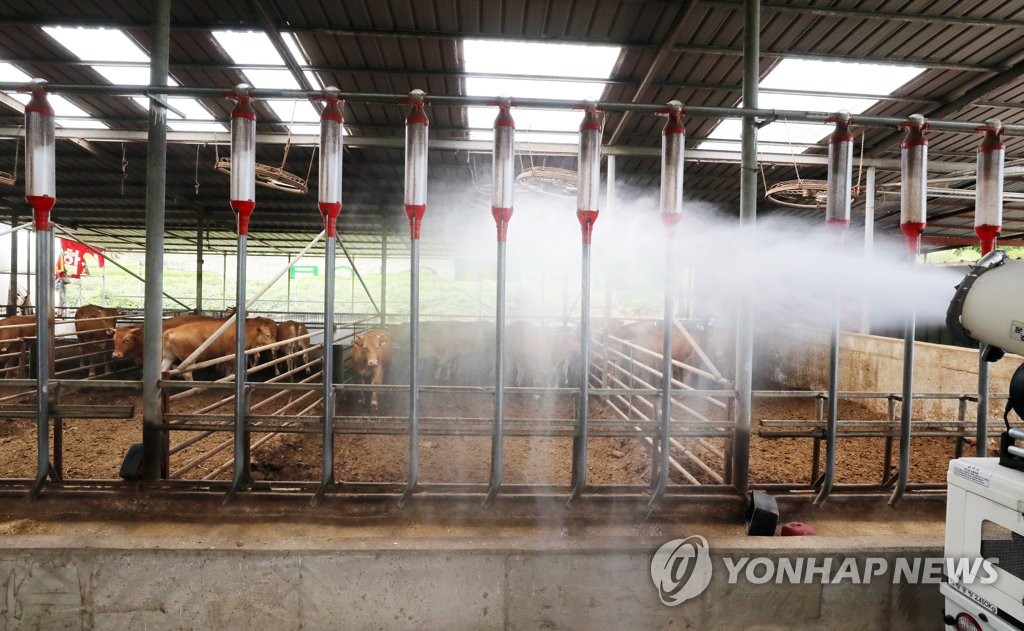 폭염에 가축 폐사 우려