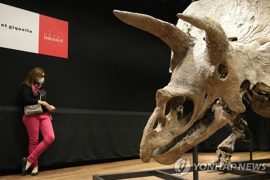90억원에 낙찰된 '세계 최대' 트리케라톱스 화석