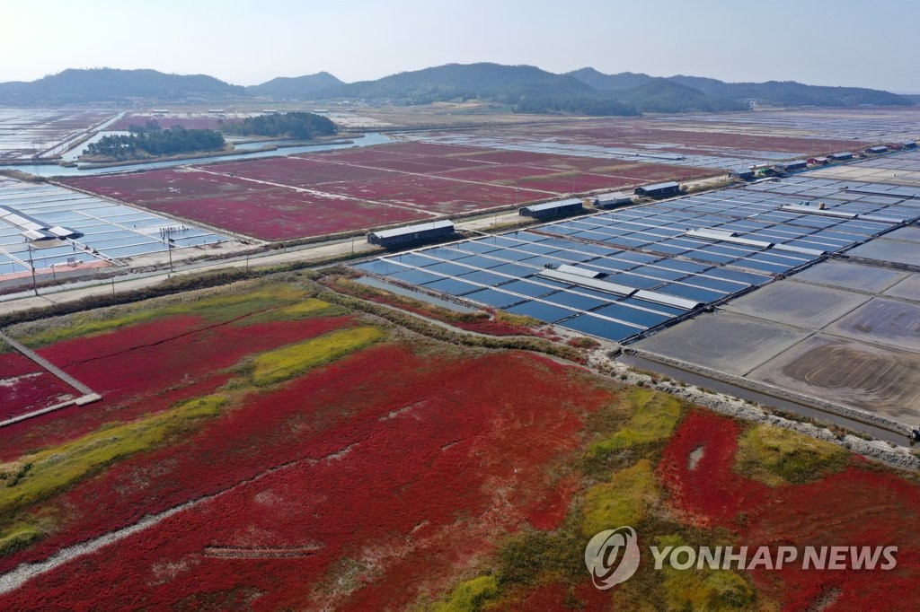 붉게 물든 태평염전